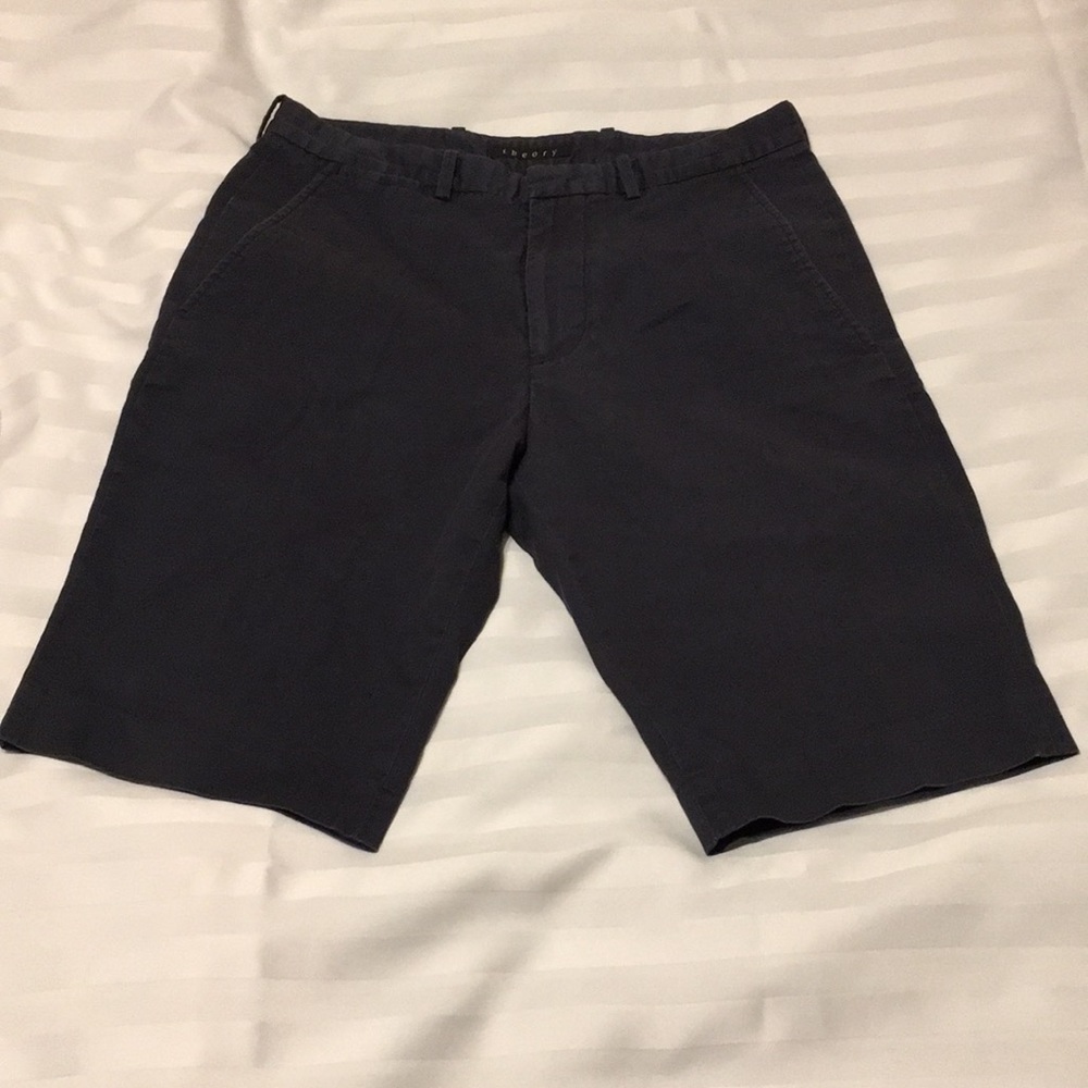 Theory Shorts Size 28
